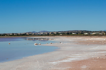 Fototapeta na wymiar Salty lake landscape in shiny day, Spain, Torrevieja