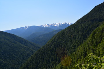 Rainier and Olympic Mountains