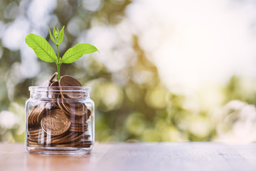 Money in the jar on wooden table .The concept of saving money for the future. Financial money concepts and savings.investment.