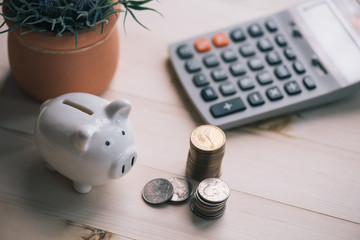 piggy banks standing among pile of coins and calculator.