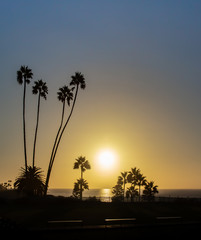 Obraz premium Pier on the California coast at sunset with palm trees