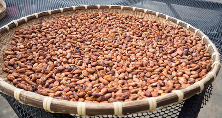Cocoa beans through fermentation and drying process ready. Useful can be processed. Drinks, condiments, cosmetics It is a plant that is grown around the world.