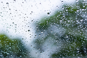 rain drops on car window with green tree in background