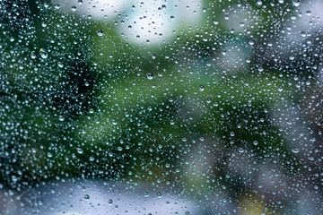 rain drops on car window with green tree in background