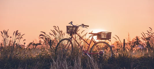 Poster Im Rahmen schönes Landschaftsbild mit Fahrrad bei Sonnenuntergang © Looker_Studio