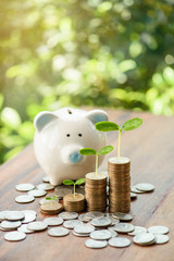 Close up of stacking money coins and piggy bank, the saving with growing your money to real estate...