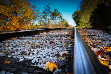 Fall leaves on the railroad tracks
