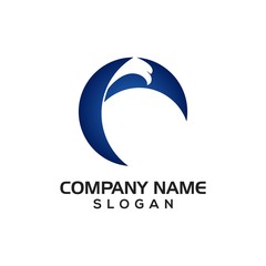 Fototapeta premium Modern Falcon for Logo Icon template or graphic resource