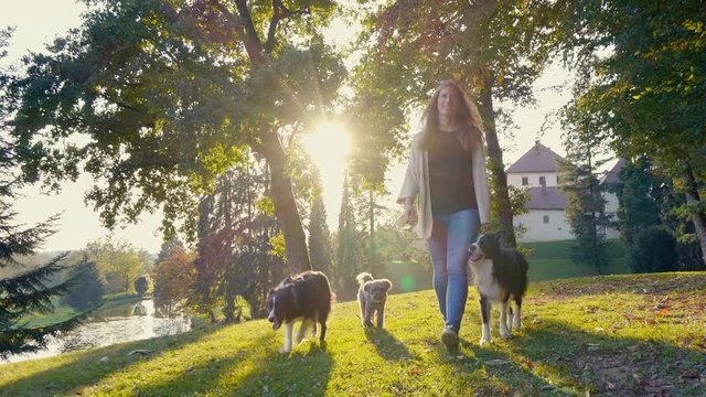 Dogs join a happy young female for a walk through the park in the summer afternoon. Sun is shining through the trees.