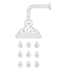 Polygonal vector shower icon on a white background. Polygonal carcass gray shower image in low poly style with connected triangles, dots and linear items.