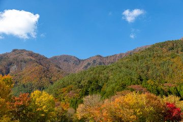 The mountains and the leaves are changing color