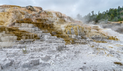 Colorful Mammoth Springs geothermal feature in Yellowstone NP