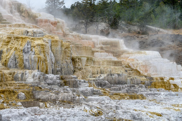 Colorful Mammoth Springs geothermal feature in Yellowstone NP