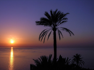 Fototapeta na wymiar Ocean view at sunset from Sierra de Tramuntana, near Valldemossa, Mallorca