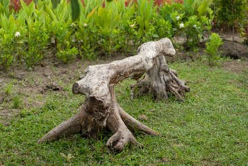 Fototapeta na wymiar the unique design of the garden seat, made from the trunk and roots of the tree
