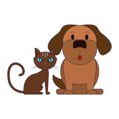 Dog and cat animals