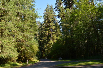 Beautiful Washington