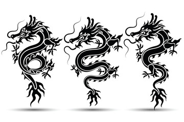 Fototapeta premium chinese Dragon vector