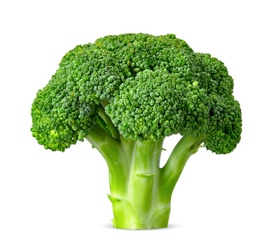 Broccoli isolated on white with clipping path