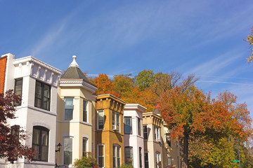 Renovated historic townhouses surrounded by deciduous trees in autumn colors, Washington DC, USA. Suburban neighborhood on a sunny morning in fall.