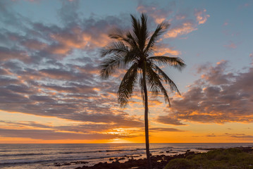 Obraz na płótnie Canvas Palm tree and orange sunset over the ocean