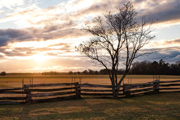 winter sunset on lone tree