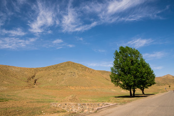 Fototapeta na wymiar Green trees along the road and Brown Mountain.