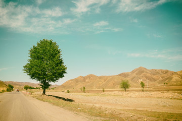 Obraz premium Green trees along the road and Brown Mountain.