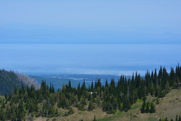 Olympic National Park