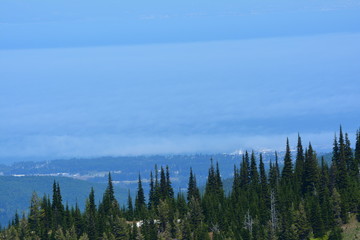 Olympic National Park