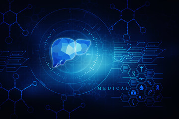 Realistic human liver 2d illustration
