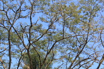 Obraz premium Paisaje occidente de Antioquia, Colombia