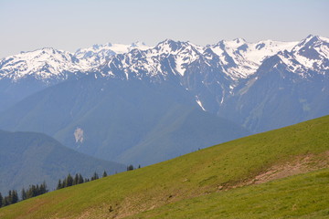 Olympic National Park