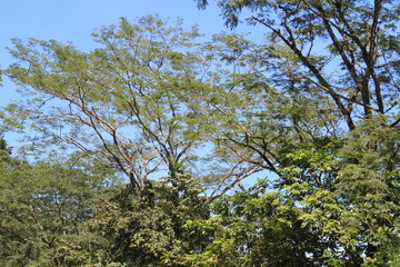 Paisaje occidente de Antioquia, Colombia