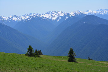 Olympic National Park