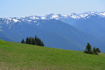 Olympic National Park