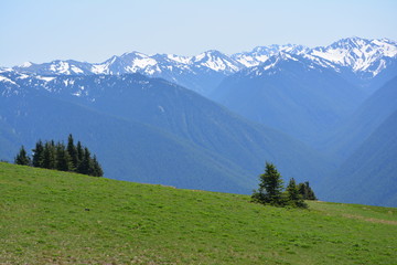 Olympic National Park