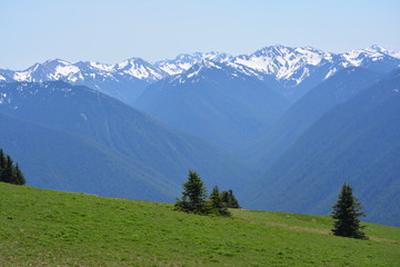 Olympic National Park