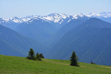 Olympic National Park