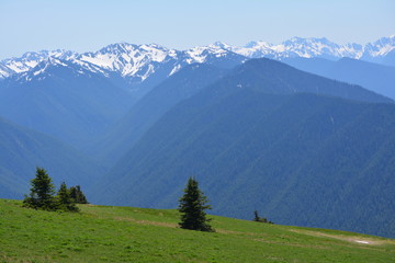 Olympic National Park