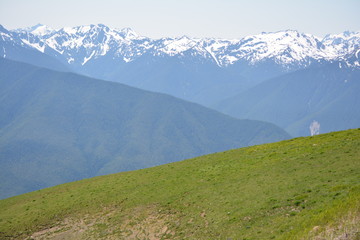 Olympic National Park