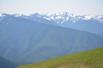 Olympic National Park
