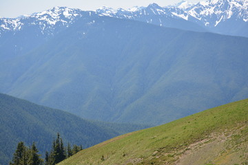 Olympic National Park