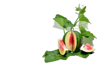  Fresh watermelon and leaves