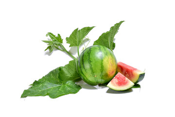  Fresh watermelon and leaves