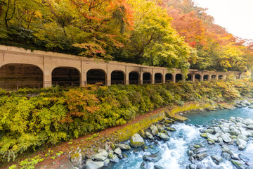 箱根　函嶺洞門の紅葉