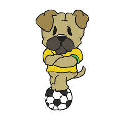 Pug brazilian soccer player