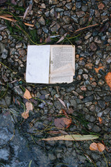 Forgot book on the river bank. Broken book on the river side. Book on the stones rubbly coast.