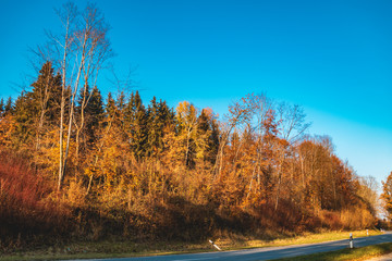 Fototapeta premium Beautiful autumn view near Freilassing-Bavaria-Germany