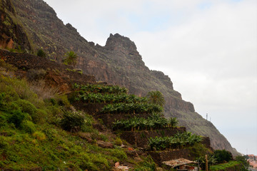 Fototapeta premium La Gomera: Trip from Agulo to the Mirador Abrante with skywalk; narrow path with fruits and flower